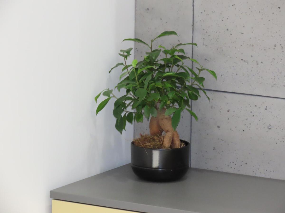 El Apartments - Solaris Poznań Zewnętrze zdjęcie